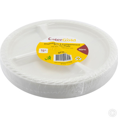 Reusable Plastic Plate 10