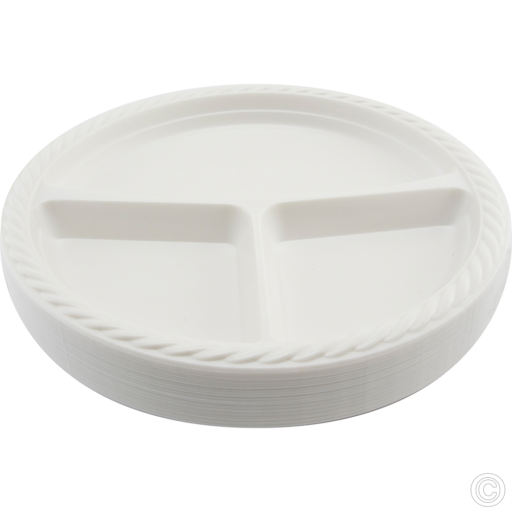 Reusable Plastic Plate 10