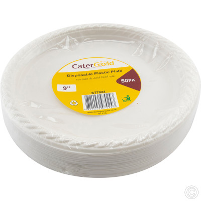 Reusable Plastic Plate 9