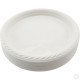 Reusable Plastic Plate 9