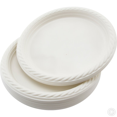 Reusable Plastic Plate 9