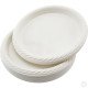 Reusable Plastic Plate 9