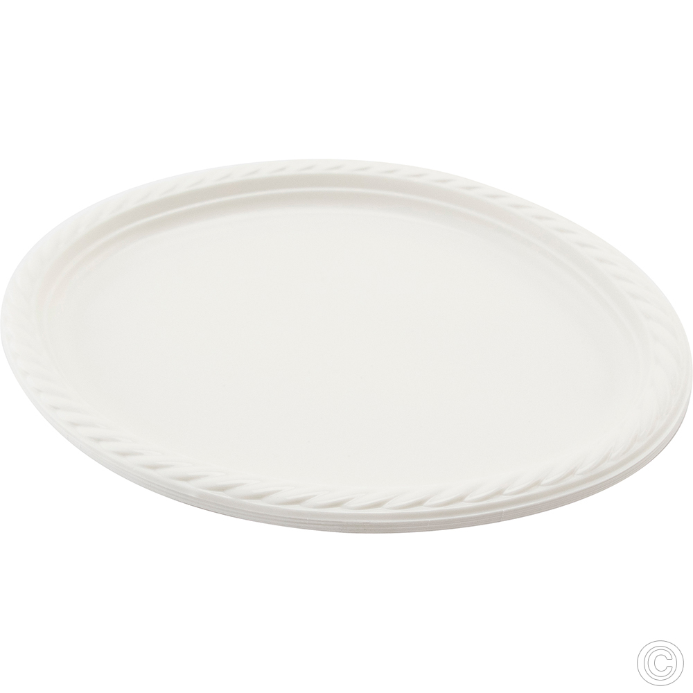 Reusable Plastic Plate Oval 8 Pack