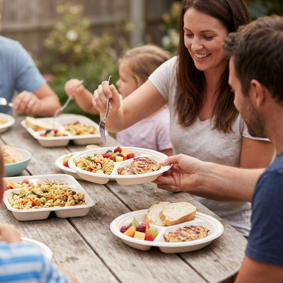 Compostable Bagasse 6 Compartment Plate 50 Pack