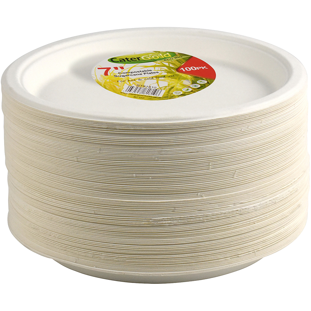 Compostable Bagasse Plate 7