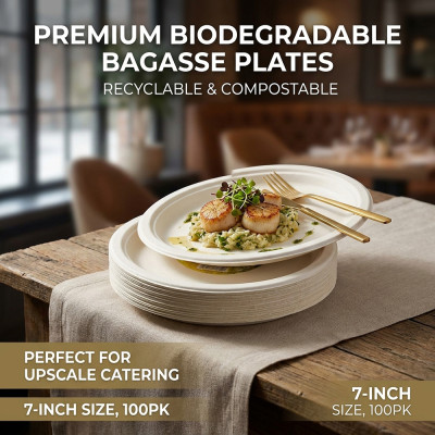 Compostable Bagasse Plate 7
