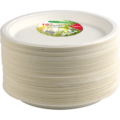 Compostable Bagasse Plate 10