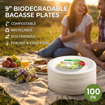 Compostable Bagasse Plates 9