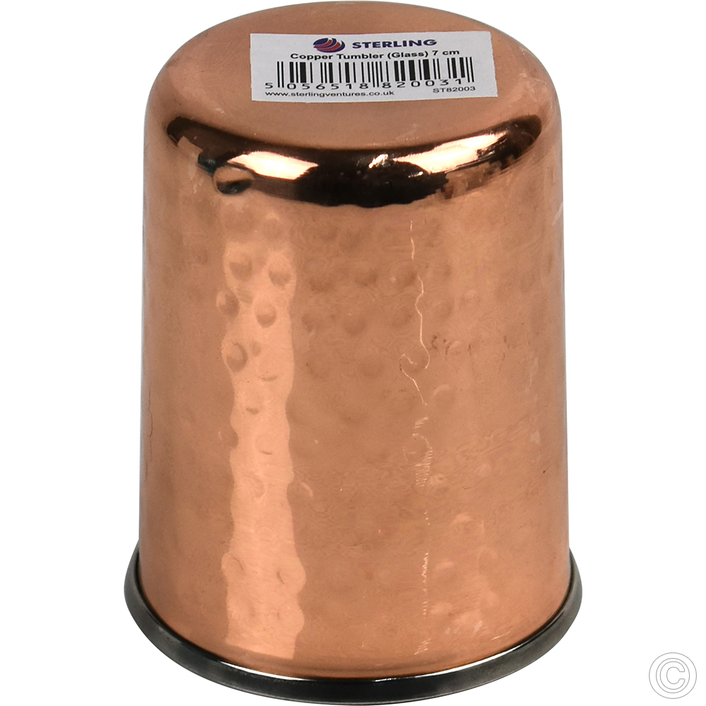 Copper Steel Tumbler (Glass)