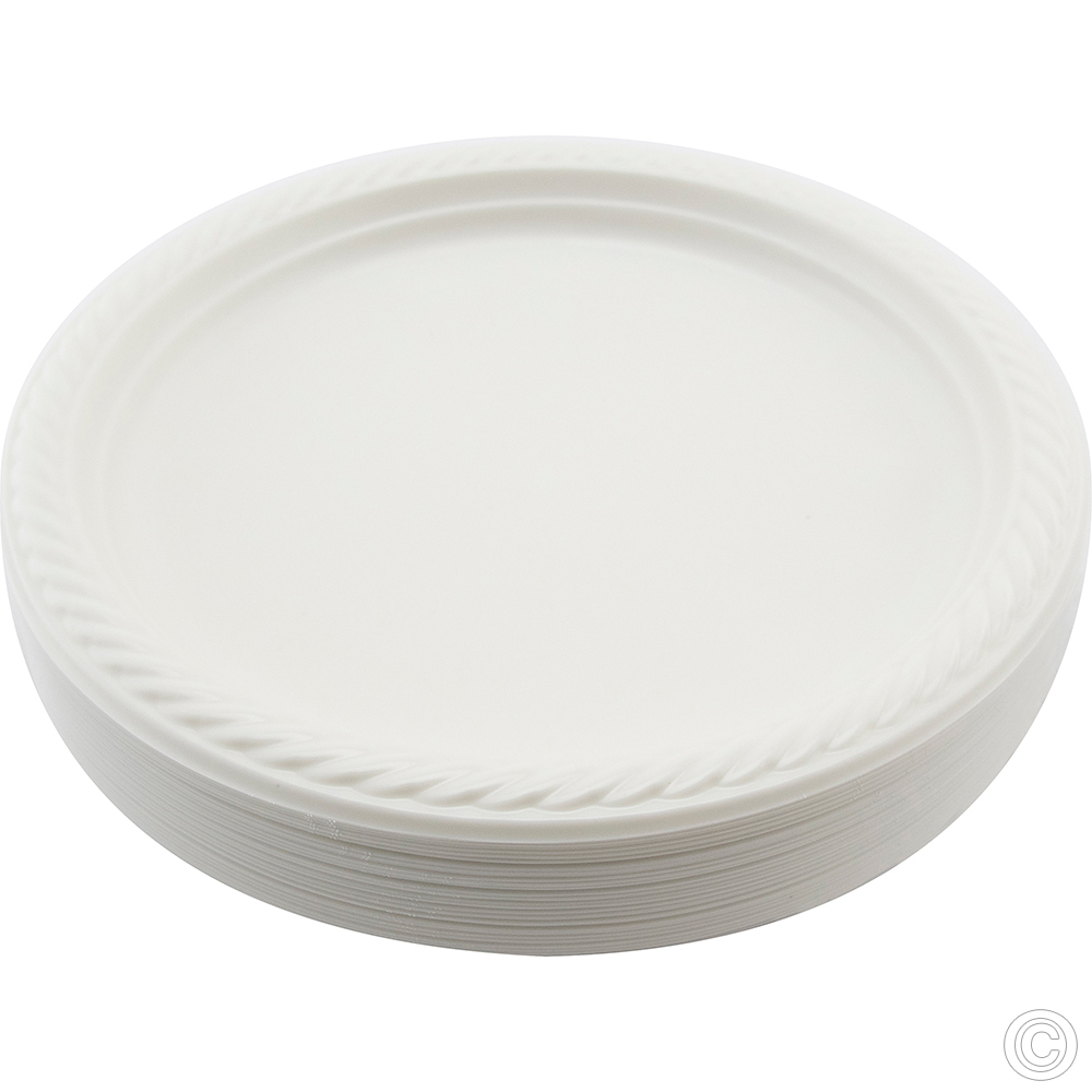 Reusable Plastic Plate 10