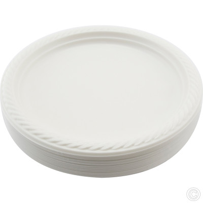 Reusable Plastic Plate 10