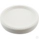 Reusable Plastic Plate 10