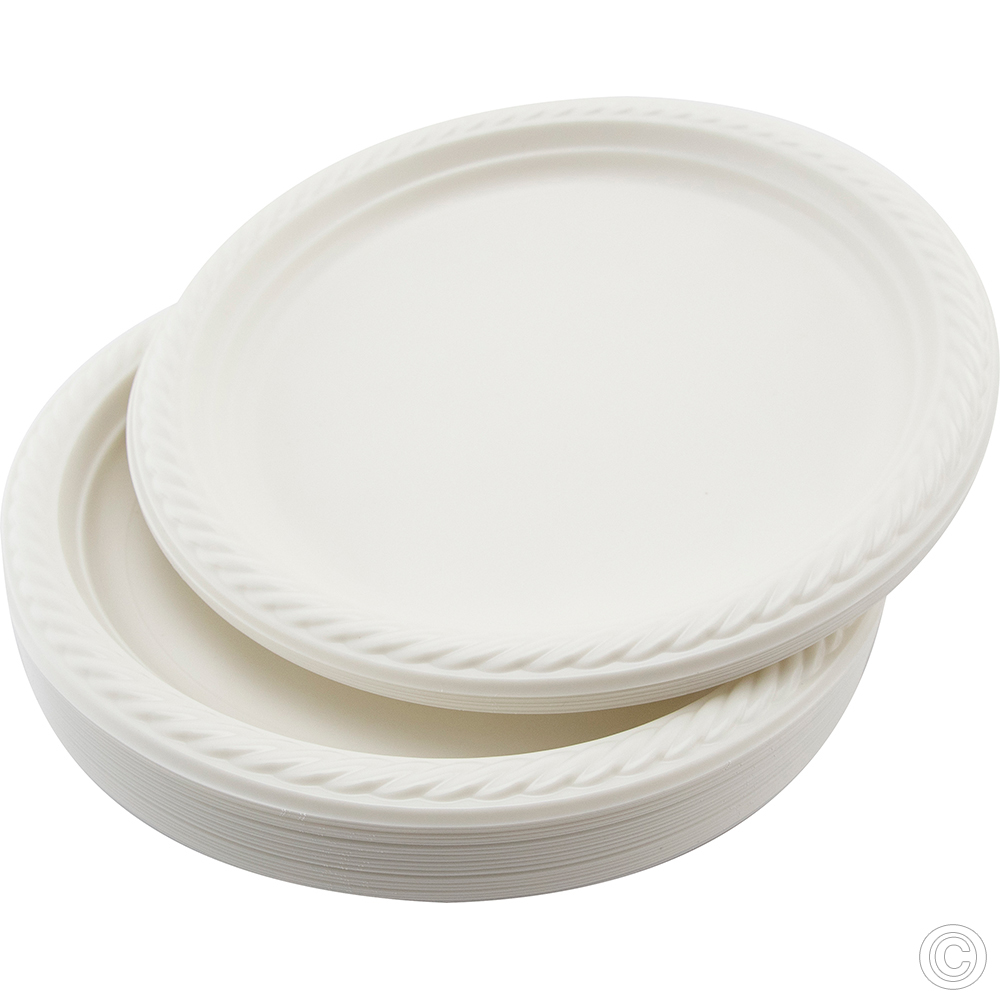 Reusable Plastic Plate 10