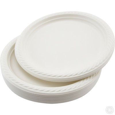 Reusable Plastic Plate 10