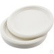 Reusable Plastic Plate 10